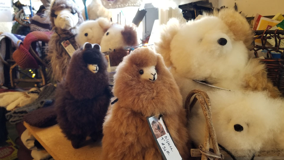 Alpaca Store with Toys, Yarn & Clothing